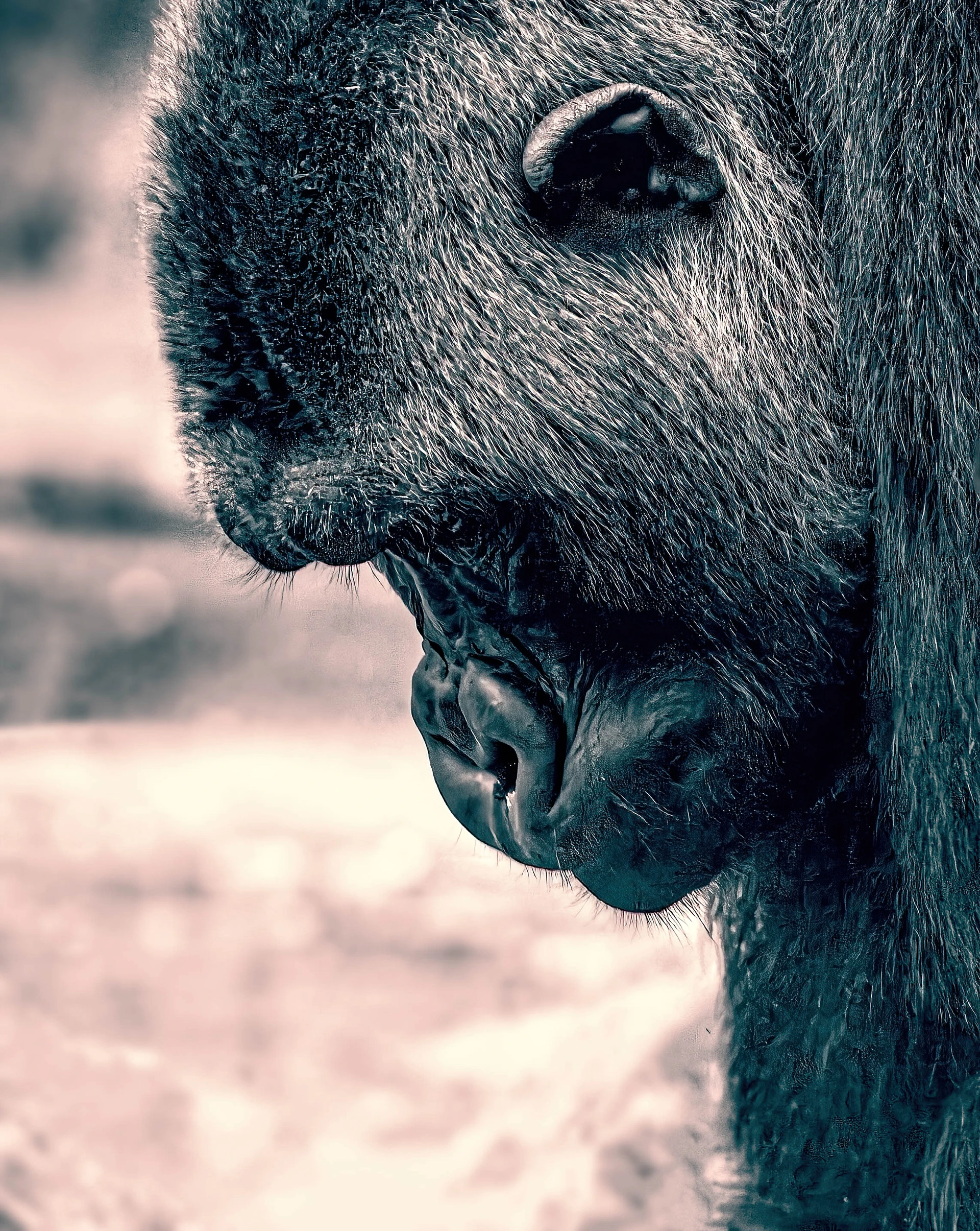 The Thinker